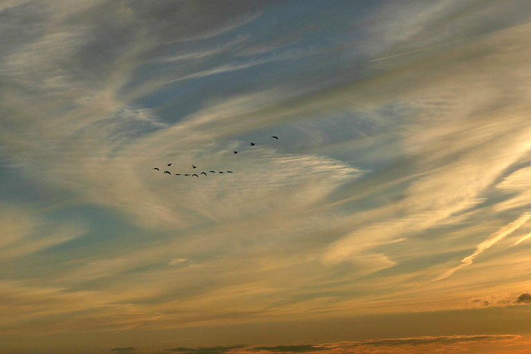 Abendhimmel an der Nordsee